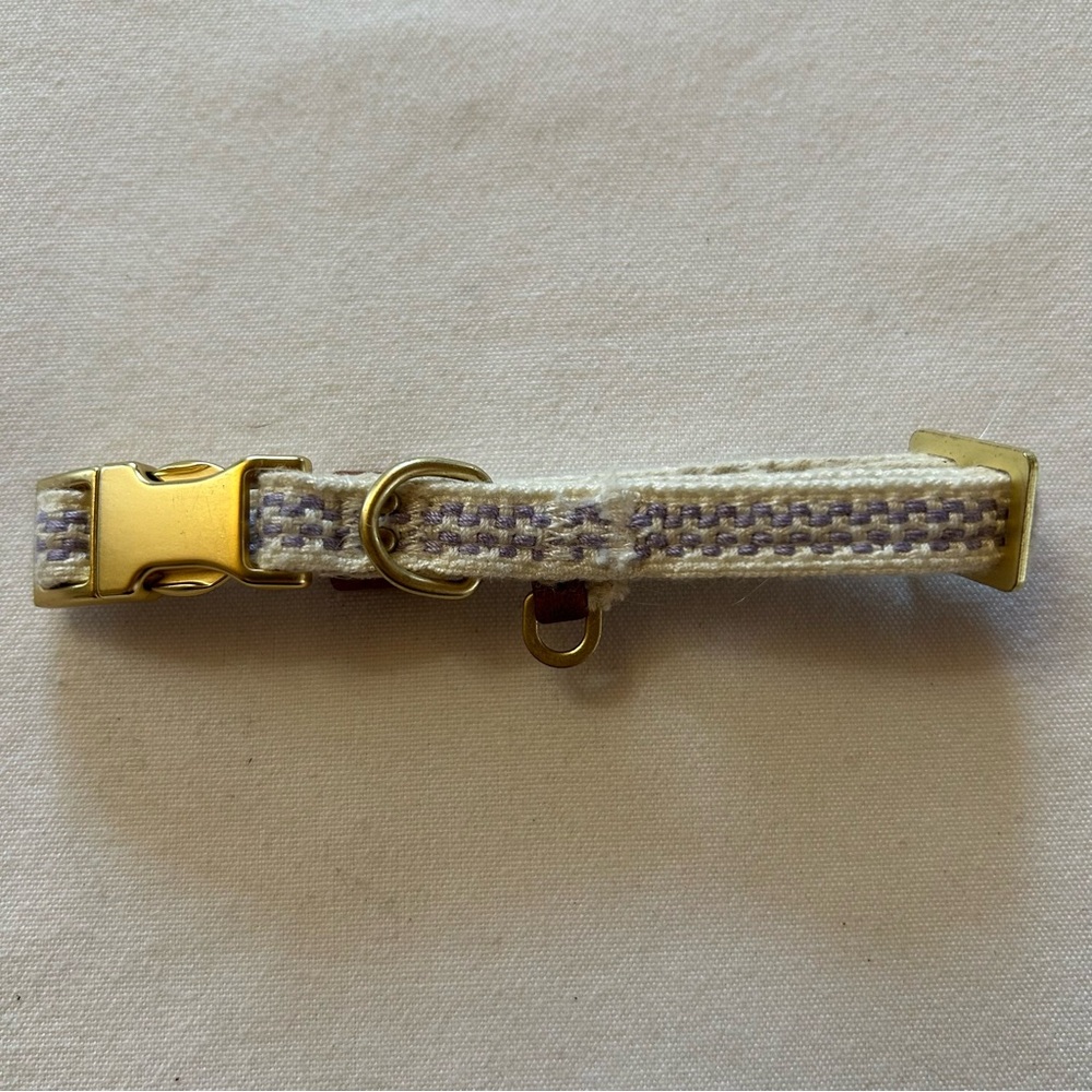 XS Gold and Cream Dog Collar